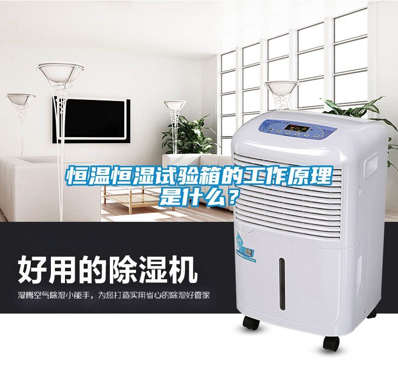 恒溫恒濕試驗箱的工作原理是什么？