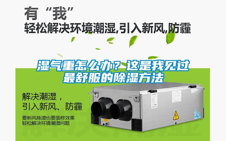 濕氣重怎么辦？這是我見過最舒服的除濕方法