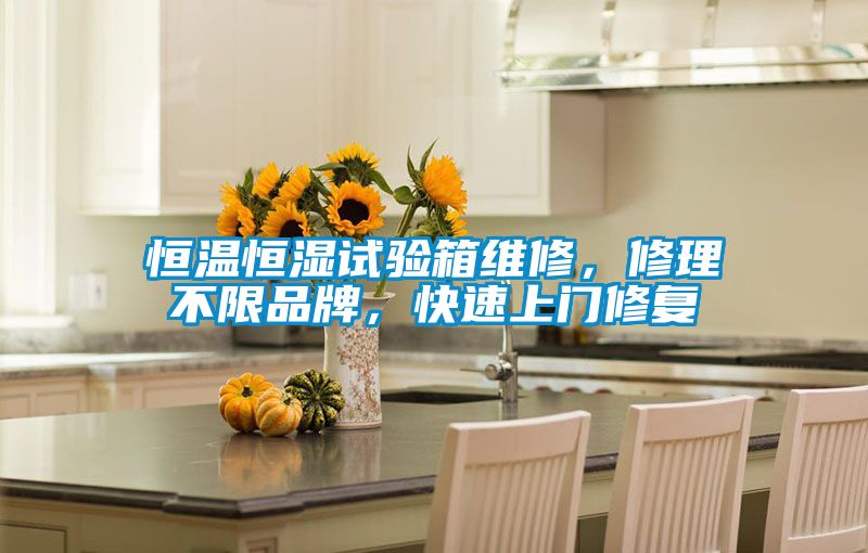 恒溫恒濕試驗箱維修，修理不限品牌，快速上門修復