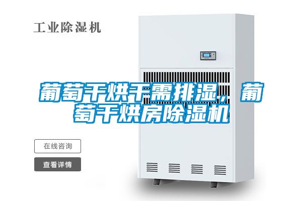 葡萄干烘干需排濕，葡萄干烘房除濕機