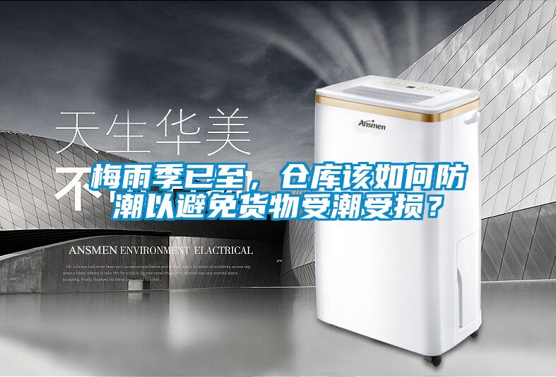 梅雨季已至，倉庫該如何防潮以避免貨物受潮受損？