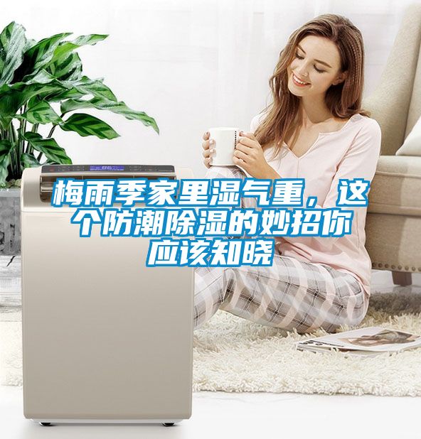 梅雨季家里濕氣重，這個防潮除濕的妙招你應該知曉