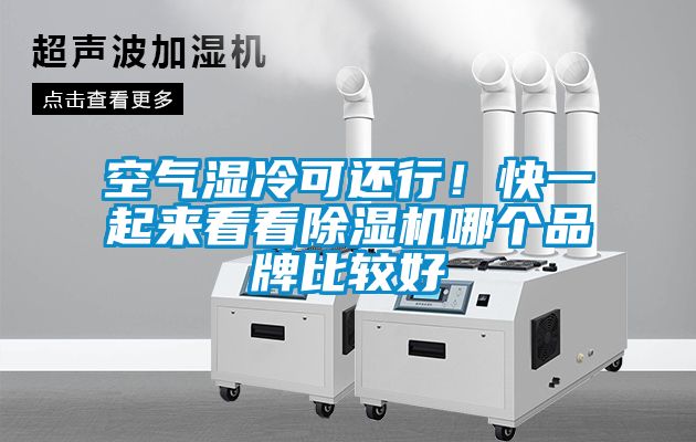 空氣濕冷可還行！快一起來看看除濕機哪個品牌比較好