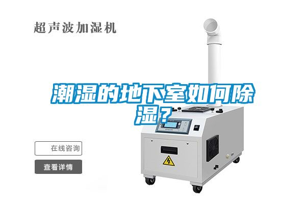 潮濕的地下室如何除濕？