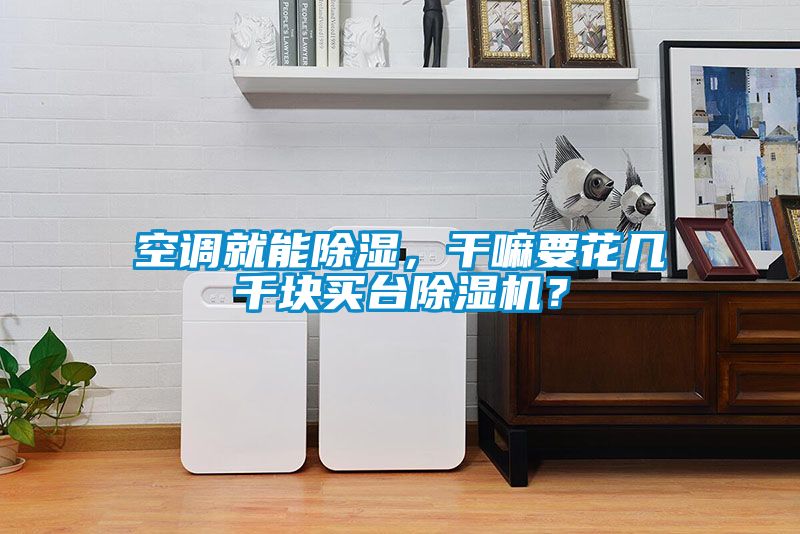 空調就能除濕，干嘛要花幾千塊買臺除濕機？