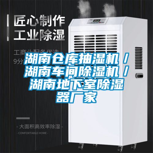 湖南倉庫抽濕機／湖南車間除濕機／湖南地下室除濕器廠家
