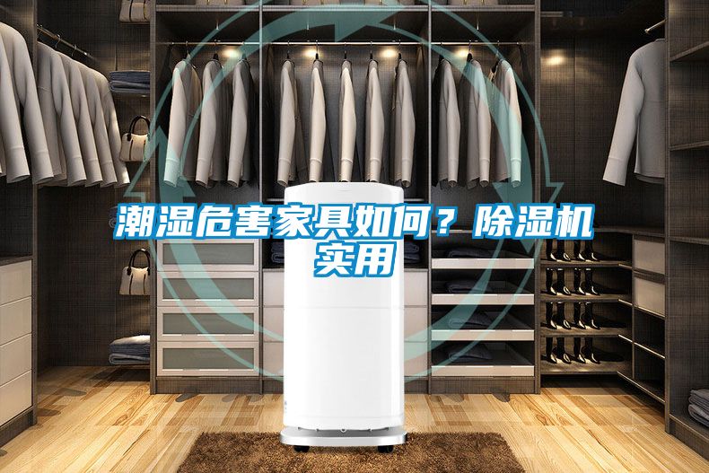 潮濕危害家具如何？除濕機實用