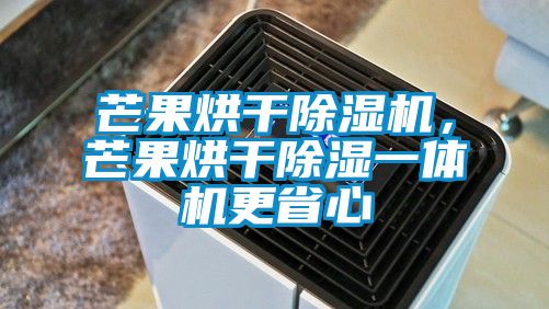 芒果烘干除濕機，芒果烘干除濕一體機更省心