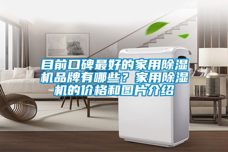 目前口碑最好的家用除濕機品牌有哪些？家用除濕機的價格和圖片介紹