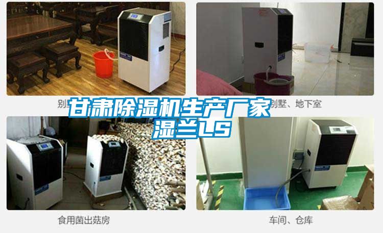 甘肅除濕機生產廠家   濕蘭LS