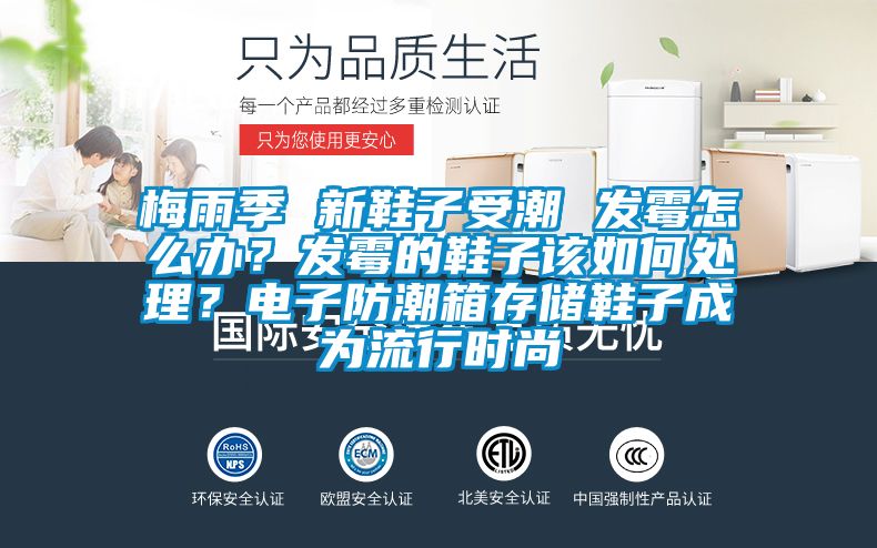 梅雨季 新鞋子受潮 發霉怎么辦？發霉的鞋子該如何處理？電子防潮箱存儲鞋子成為流行時尚