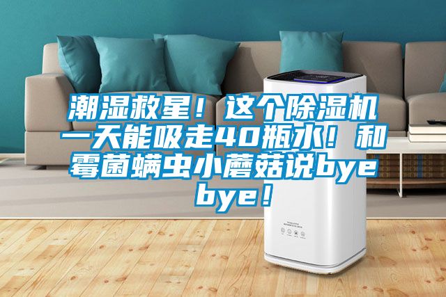 潮濕救星！這個除濕機一天能吸走40瓶水！和霉菌螨蟲小蘑菇說bye bye！
