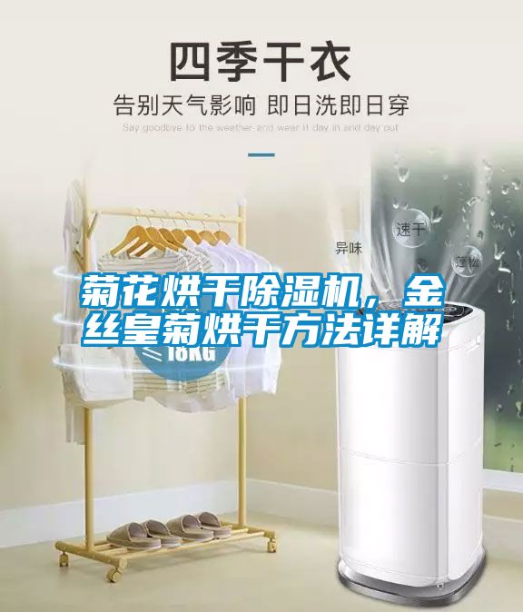 菊花烘干除濕機，金絲皇菊烘干方法詳解