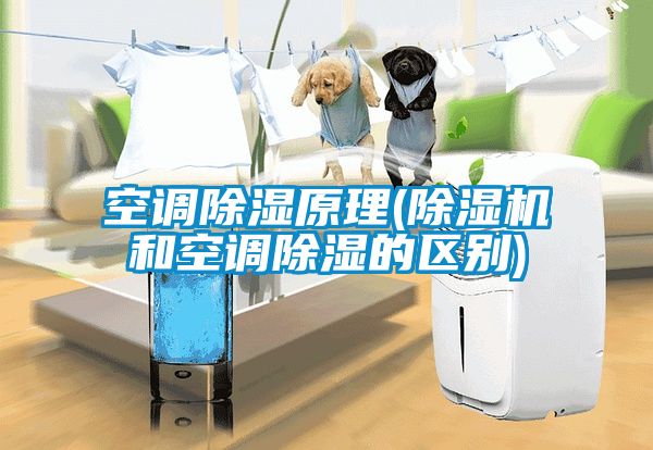 空調除濕原理(除濕機和空調除濕的區別)
