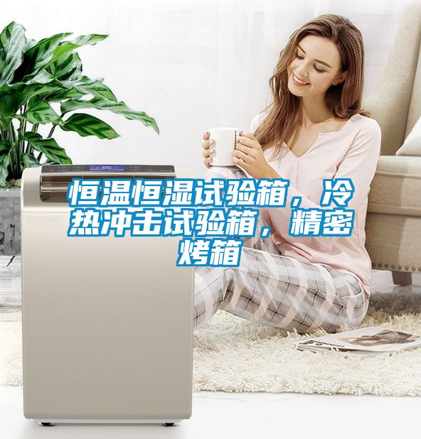 恒溫恒濕試驗箱，冷熱沖擊試驗箱，精密烤箱