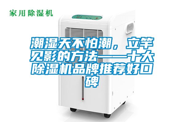 潮濕天不怕潮，立竿見影的方法——十大除濕機品牌推薦好口碑