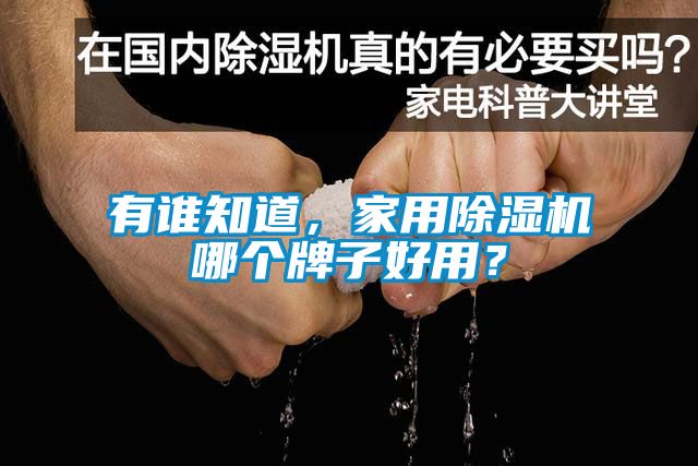 有誰知道，家用除濕機哪個牌子好用？