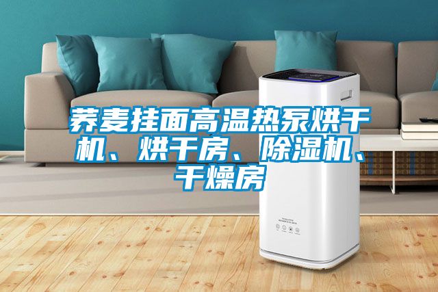蕎麥掛面高溫熱泵烘干機、烘干房、除濕機、干燥房