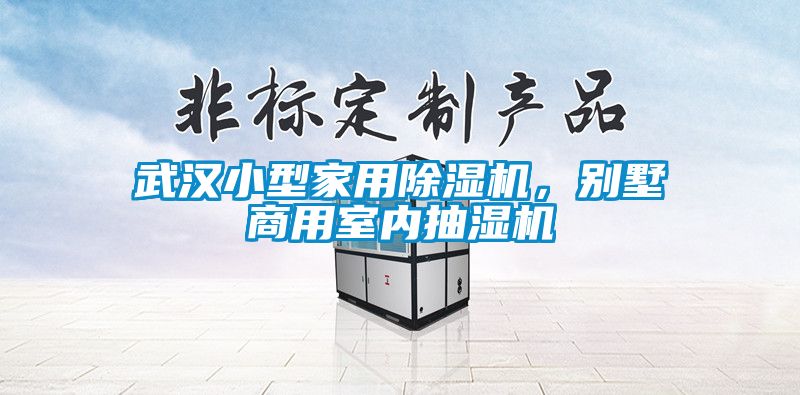 武漢小型家用除濕機，別墅商用室內抽濕機