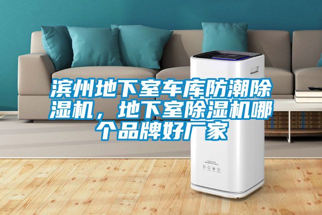 濱州地下室車庫防潮除濕機，地下室除濕機哪個品牌好廠家
