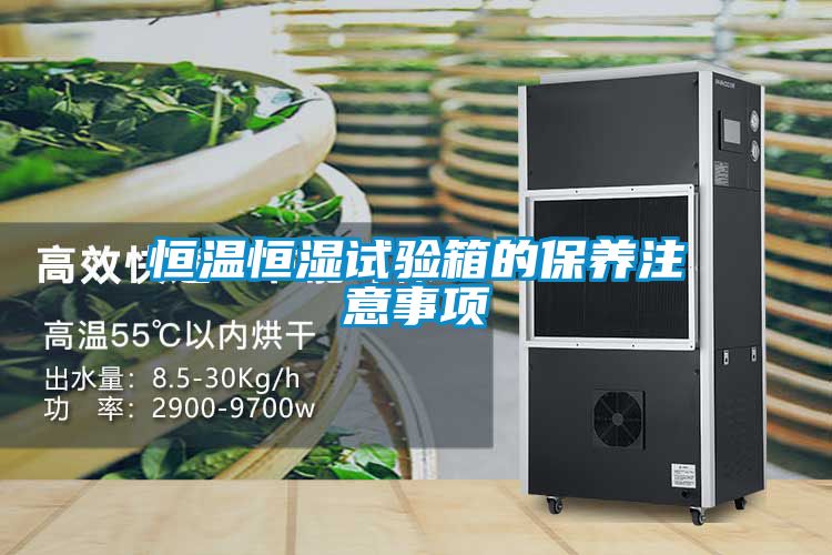 恒溫恒濕試驗箱的保養注意事項