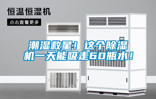 潮濕救星！這個除濕機一天能吸走60瓶水！