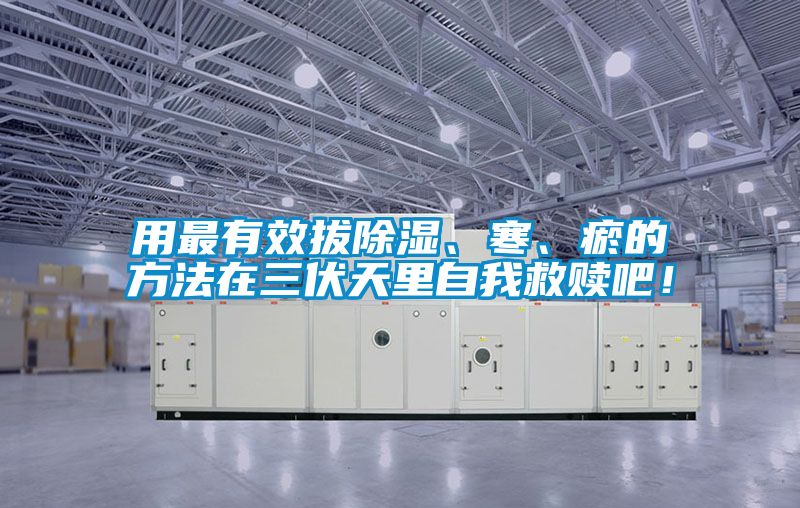 用最有效拔除濕、寒、瘀的方法在三伏天里自我救贖吧！