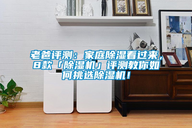 老爸評測：家庭除濕看過來，8款「除濕機」評測教你如何挑選除濕機！