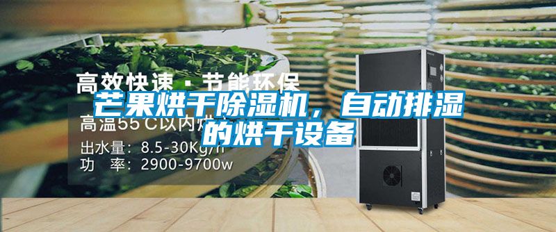 芒果烘干除濕機，自動排濕的烘干設備
