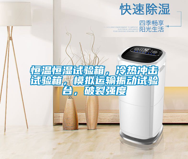 恒溫恒濕試驗箱，冷熱沖擊試驗箱，模擬運輸振動試驗臺，破裂強度