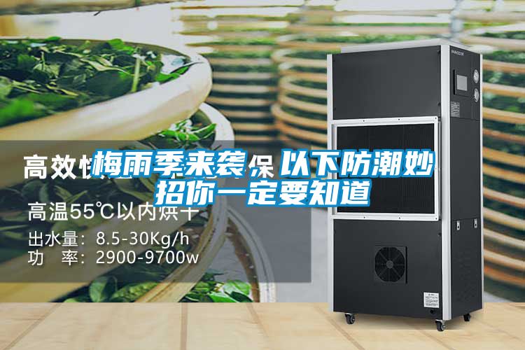 梅雨季來襲，以下防潮妙招你一定要知道