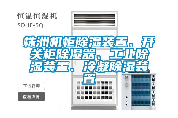 株洲機柜除濕裝置、開關柜除濕器、工業除濕裝置、冷凝除濕裝置