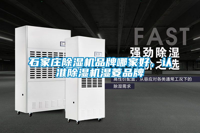石家莊除濕機品牌哪家好，認準除濕機濕菱品牌