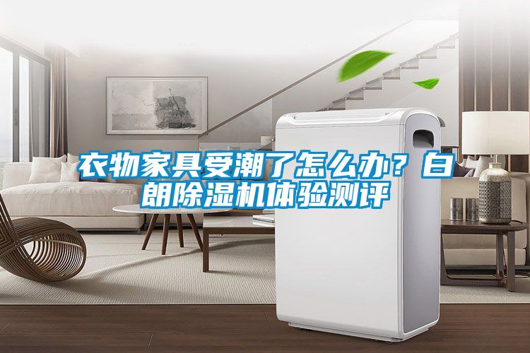 衣物家具受潮了怎么辦？白朗除濕機體驗測評