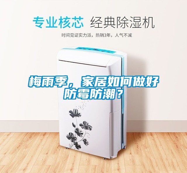 梅雨季，家居如何做好防霉防潮？