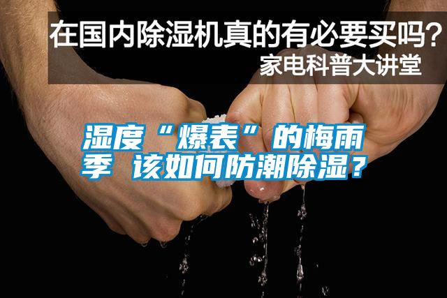 濕度“爆表”的梅雨季 該如何防潮除濕？