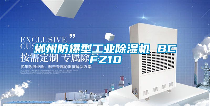 郴州防爆型工業除濕機 BCFZ10