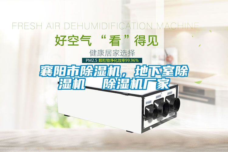 襄陽市除濕機，地下室除濕機  除濕機廠家
