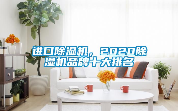 進口除濕機，2020除濕機品牌十大排名