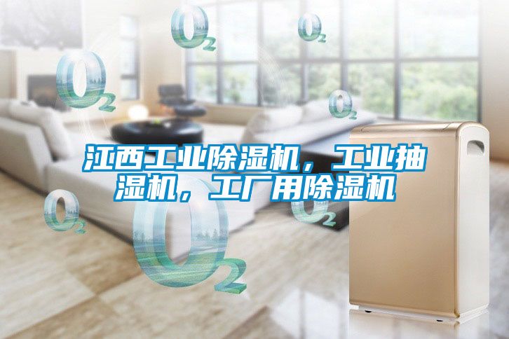 江西工業除濕機，工業抽濕機，工廠用除濕機