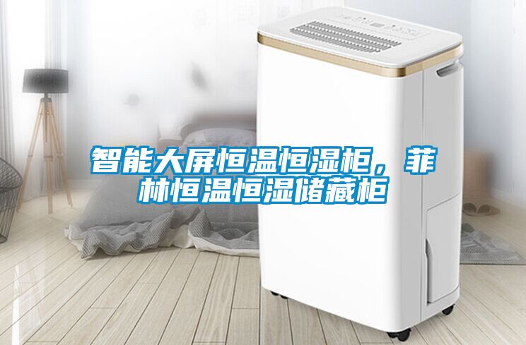 智能大屏恒溫恒濕柜，菲林恒溫恒濕儲藏柜