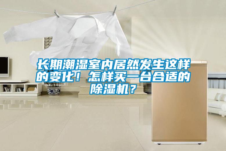 長期潮濕室內居然發生這樣的變化！怎樣買一臺合適的除濕機？