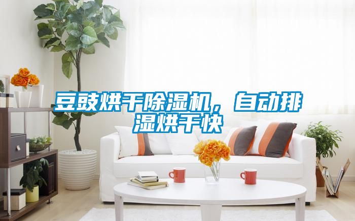 豆豉烘干除濕機，自動排濕烘干快