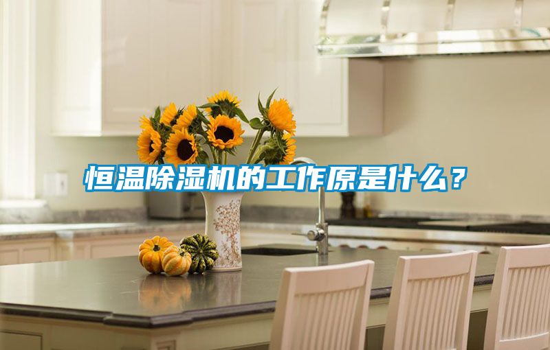 恒溫除濕機的工作原是什么？