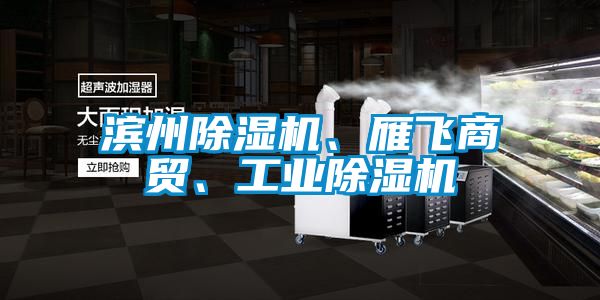 濱州除濕機、雁飛商貿、工業除濕機