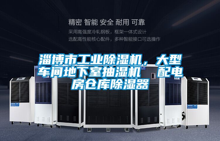 淄博市工業除濕機，大型車間地下室抽濕機  配電房倉庫除濕器
