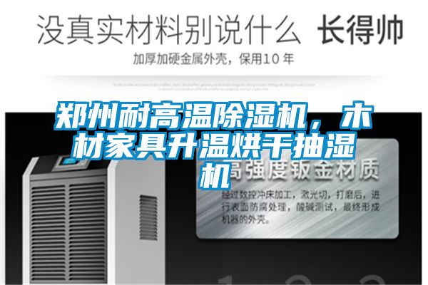 鄭州耐高溫除濕機，木材家具升溫烘干抽濕機
