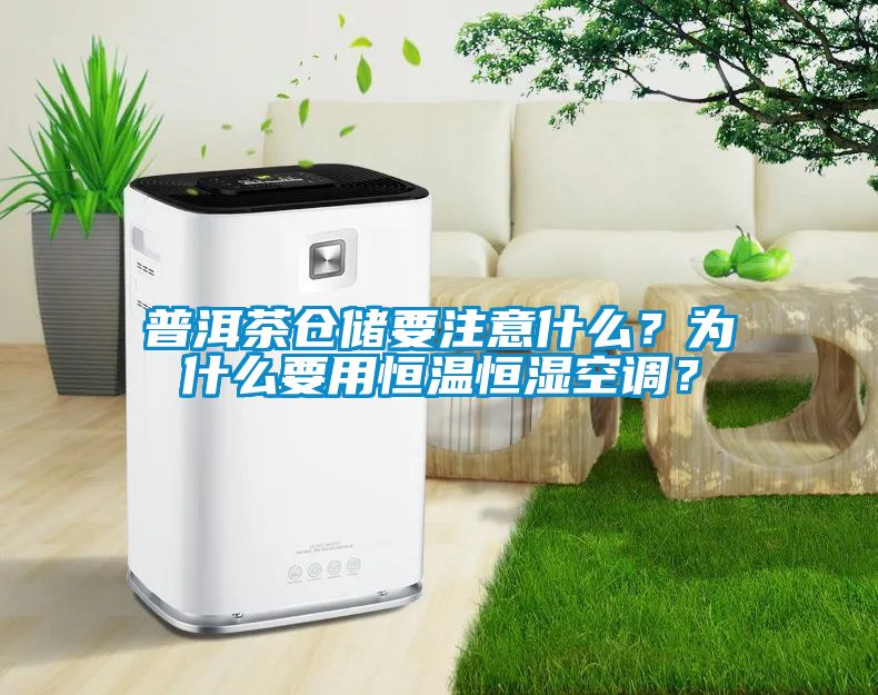 普洱茶倉儲要注意什么？為什么要用恒溫恒濕空調？