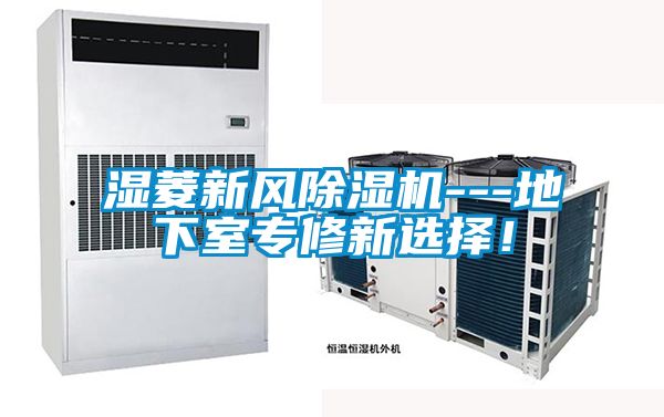 濕菱新風除濕機---地下室專修新選擇！