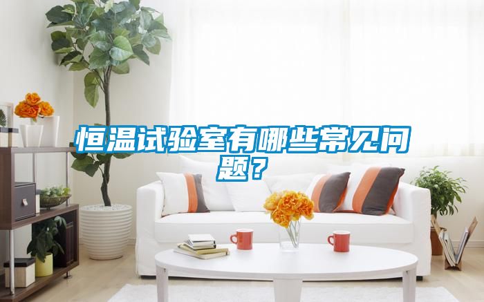 恒溫試驗室有哪些常見問題？